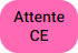 e_chips_cr_attente_ce