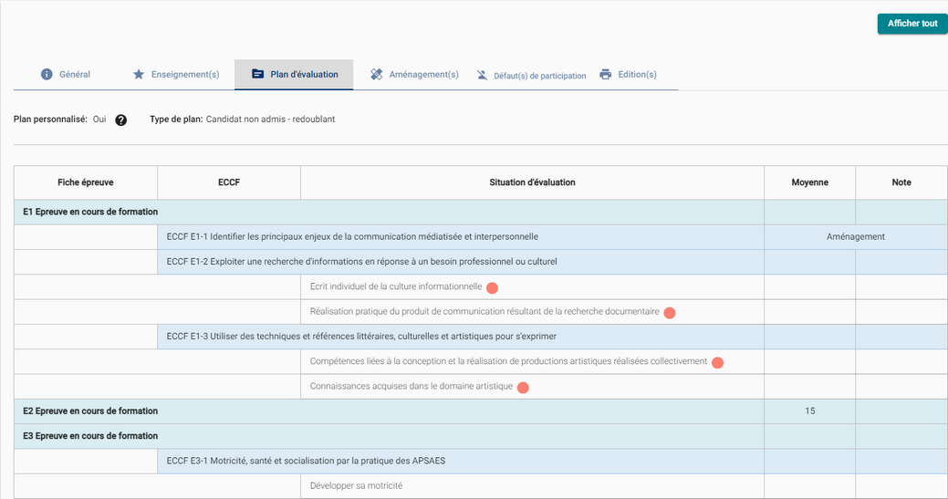 e_ong_app_plan