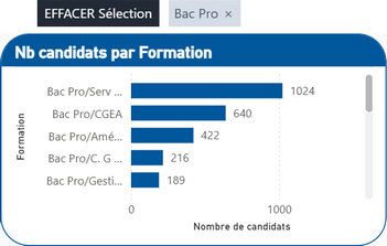 e_region_nb_candidat_formation